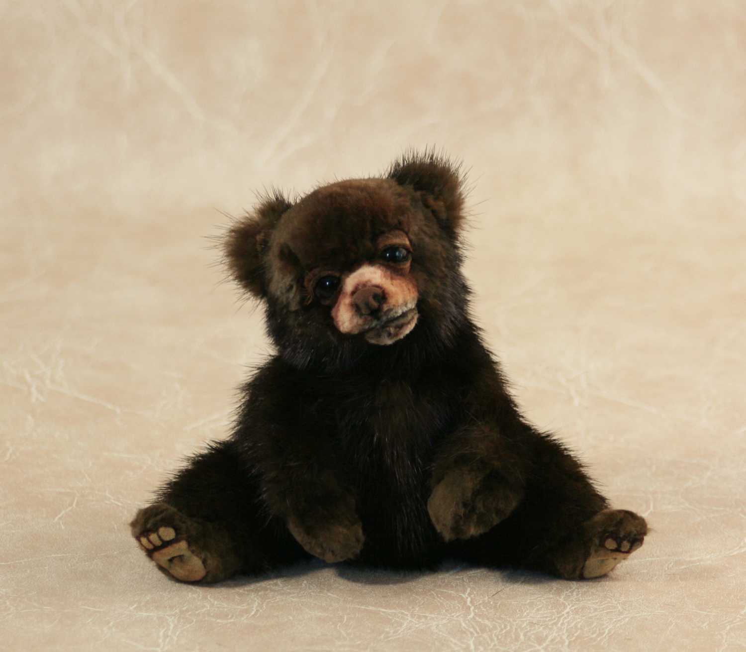 New England Bears, Inc. Baby Bears for Sale Purchase Live Baby Bear